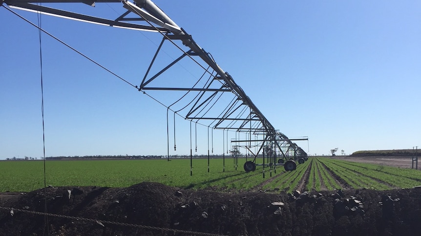 Irrigators want the federal government to pay market price for water.