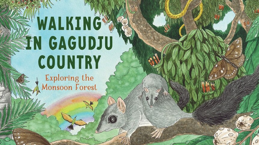 Possums, birds and butterflies play on a lush tropical monsoon forest for the cover of a children's book