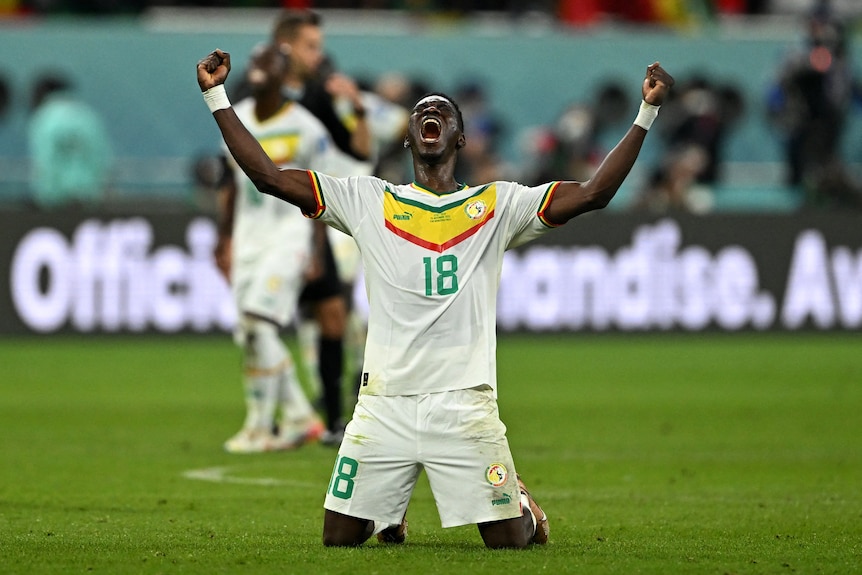 Soccer player in white kneeling on the ground with raised arms in celebration.