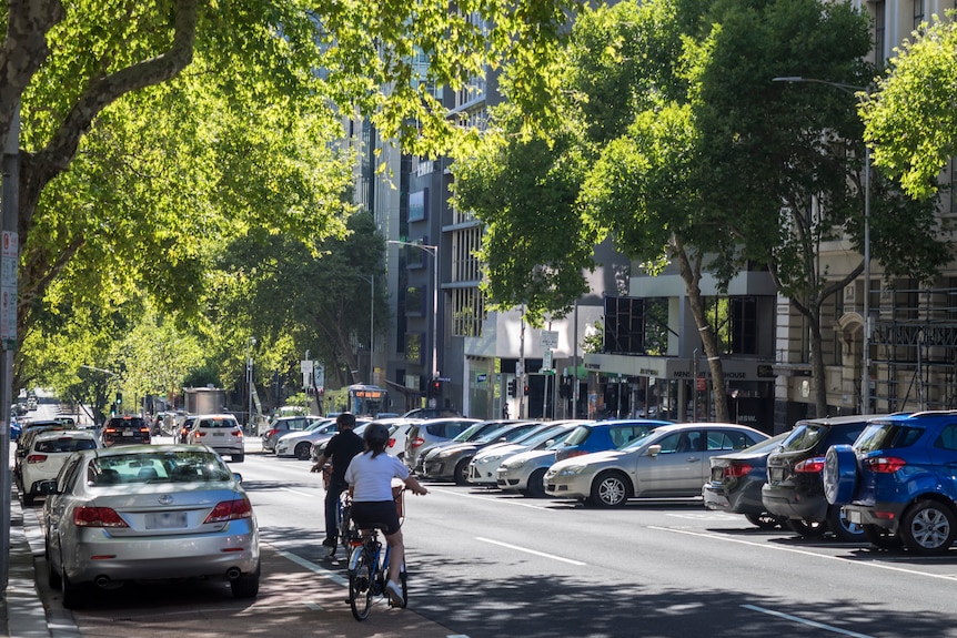 Two cyclists riding on a city street with trees 