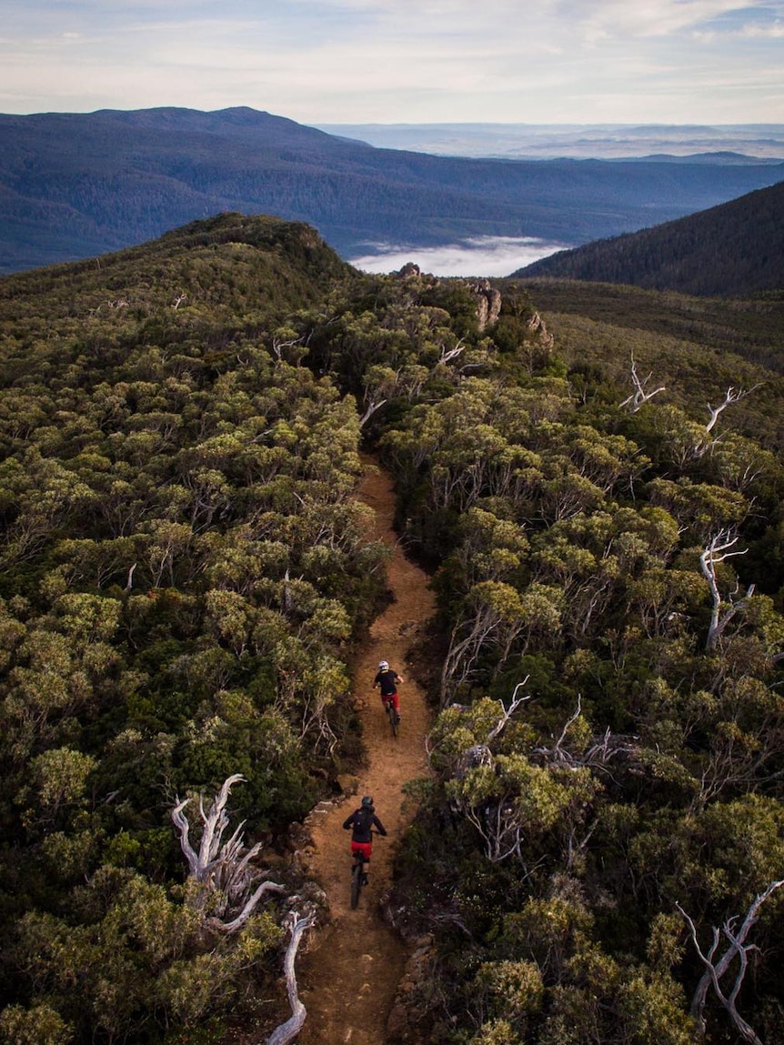 Aerial view of bike trail at Maydena Bike Park, Tasmania.