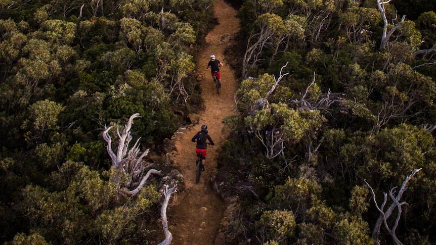 Aerial view of bike trail at Maydena Bike Park, Tasmania.