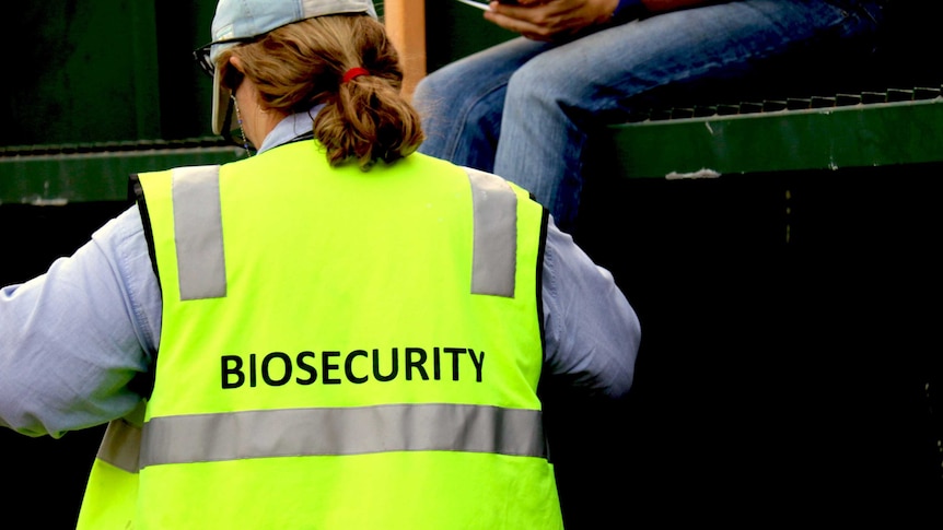 A woman with red hair wearing a fluoro green vest, photographed from behind.