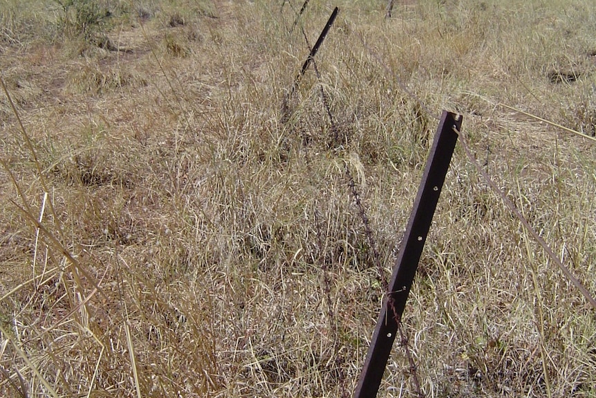 A wire fence along a vast grassy field