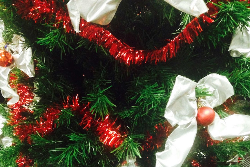Christmas tree close up