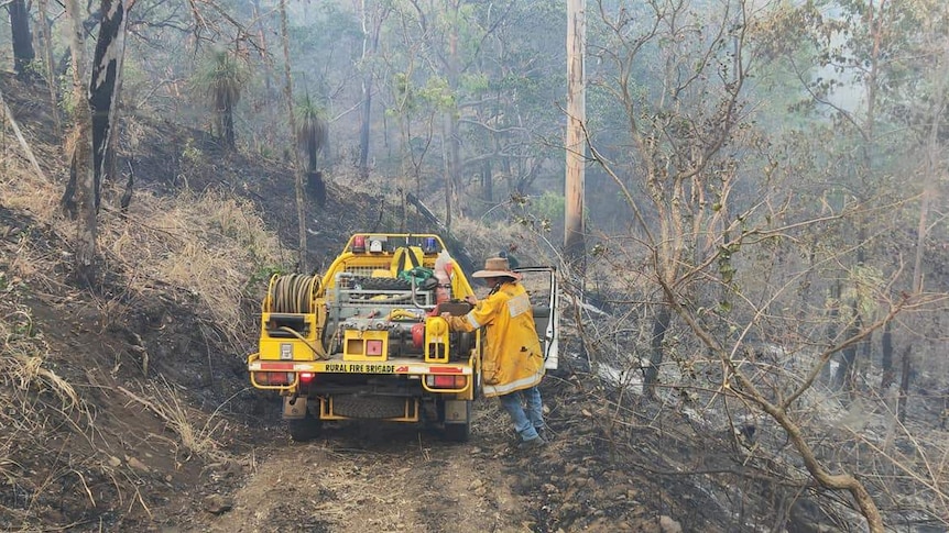 Firefighters in the bush tending to fires in Queensland.