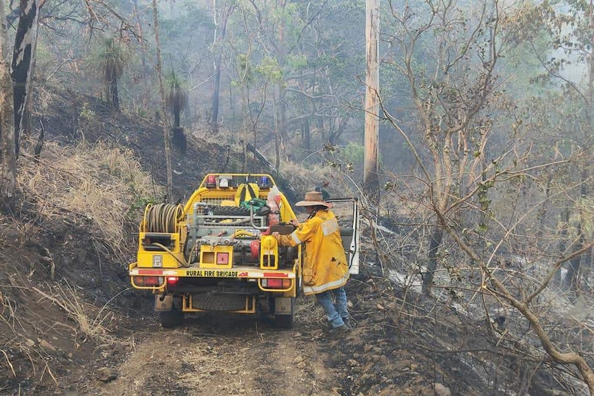 Firefighters in the bush tending to fires in Queensland.