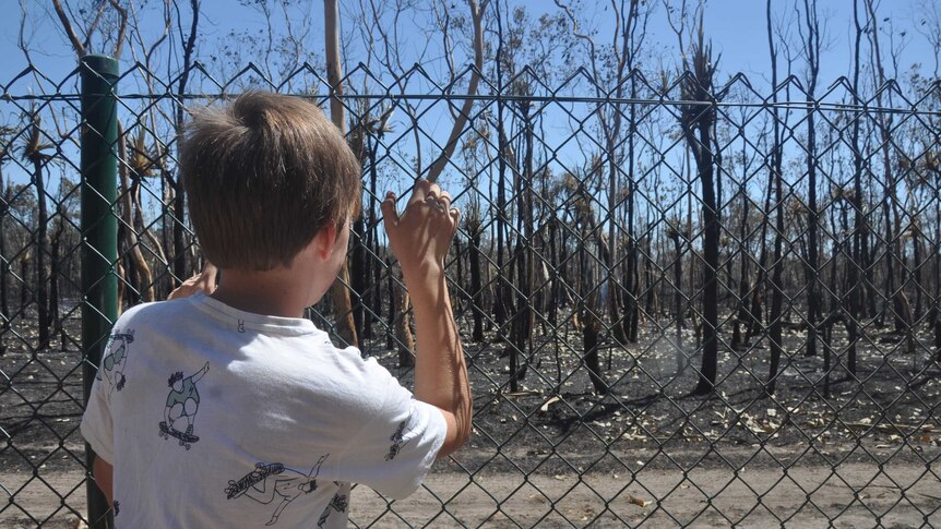 Willem Naude looks through a fence at blackened bushland.