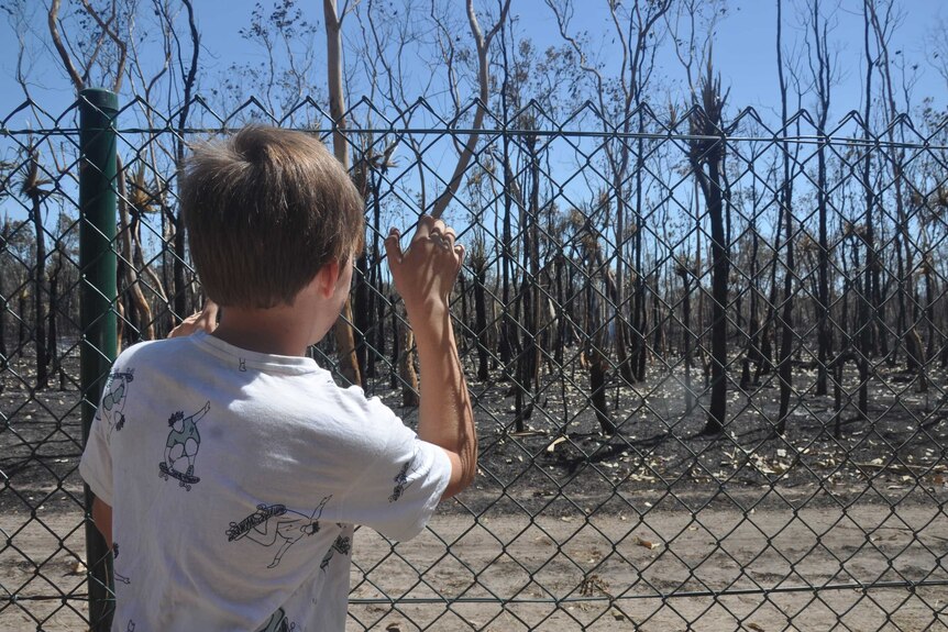 Willem Naude looks through a fence at blackened bushland.