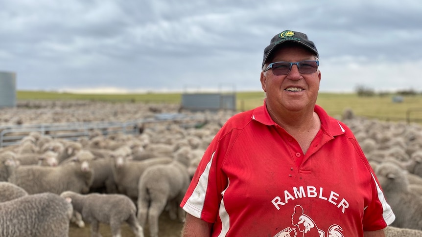 A man is standing, smiling, wearing a red shirt and a dark cap. There are lots of sheep and grey skies behind him.
