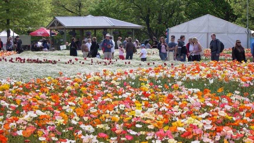 The annual flower festival Floriade took out the top spot.