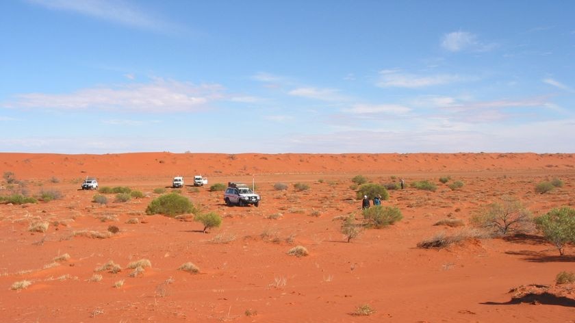 Simpson Desert