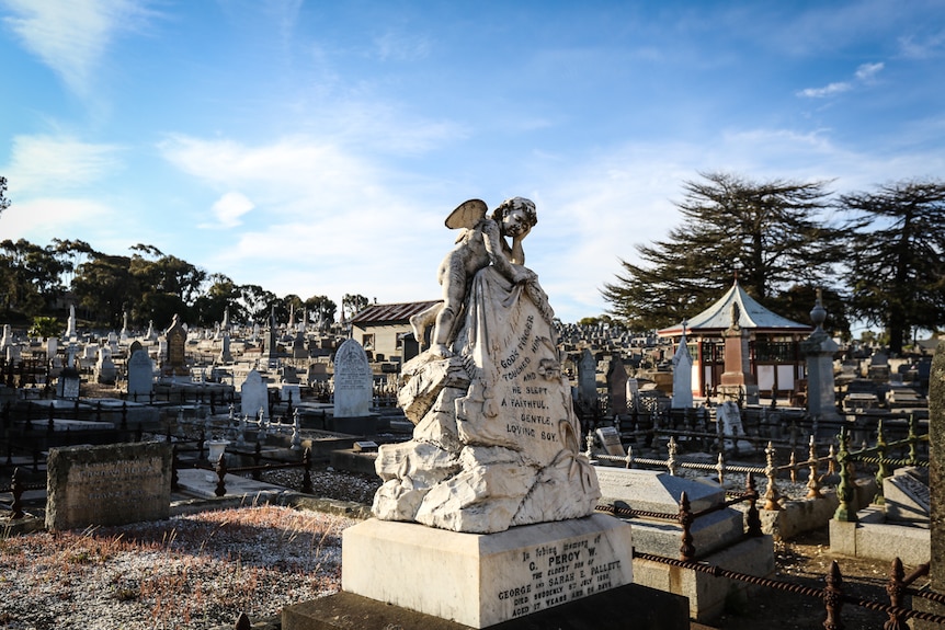 A statue of an angel in the Bendigo cemetery surrounded by gravestones.