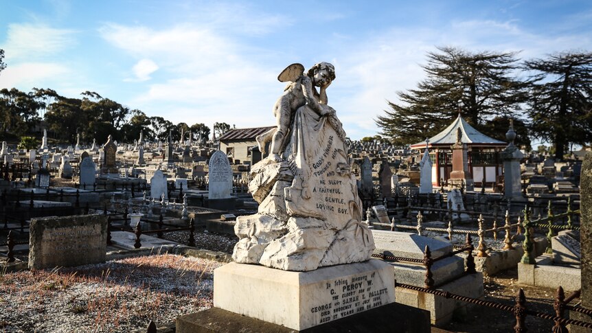 A statue of an angel in the Bendigo cemetery surrounded by gravestones.