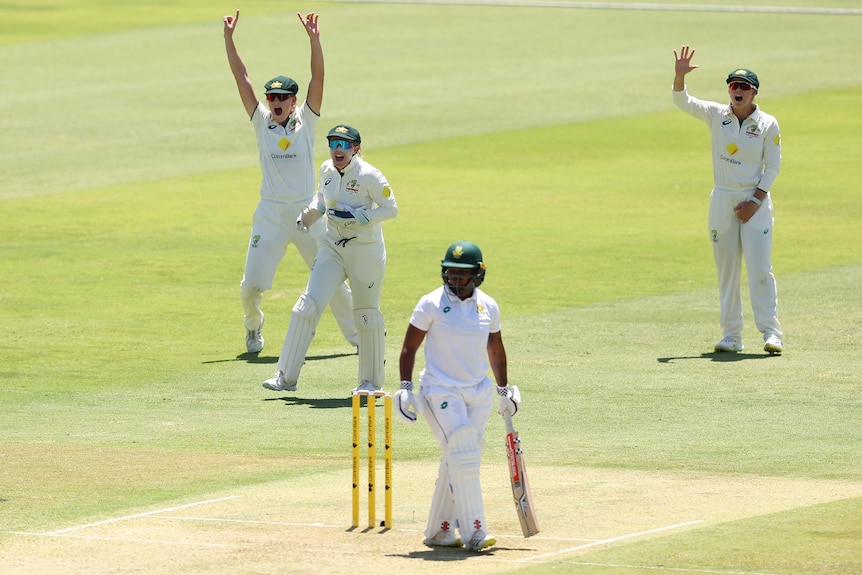 Australia fielders appeal for the wicket of South Africa batter Sinalo Jafta during a Test.