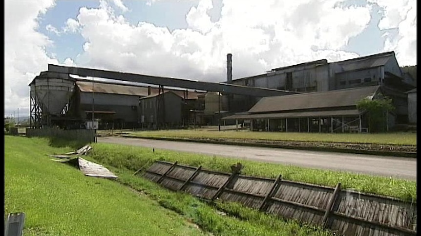 The mill's owners say the Babinda mill is no longer viable.