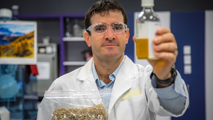 A scientists wearing goggles holds a bottle with a fuel-like substance in it, and a bag of sugar-cane waste