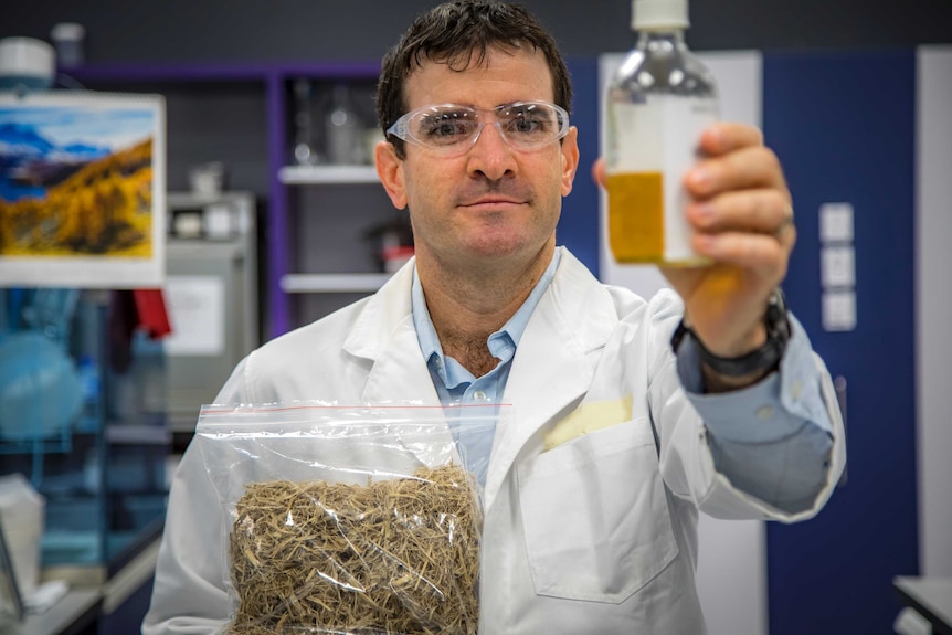 A scientists wearing goggles holds a bottle with a fuel-like substance in it, and a bag of sugar-cane waste