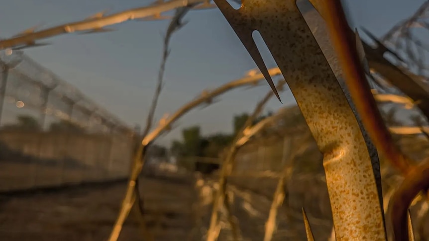 A close up photo of metal bars and wire around the fence. 