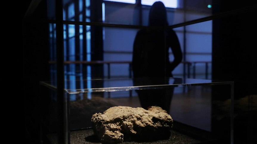 A congealed substance sits in a display case under a light while a figure looks on from the shadows