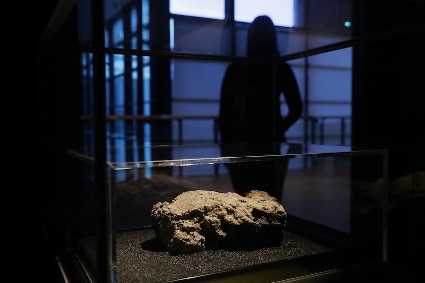 A congealed substance sits in a display case under a light while a figure looks on from the shadows
