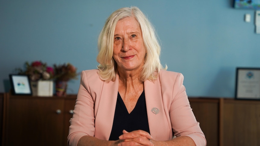 A mid-shot of WA Labor MP Christine Tonkin sitting at a desk in an office smiling and wearing a pink jacket and black top.