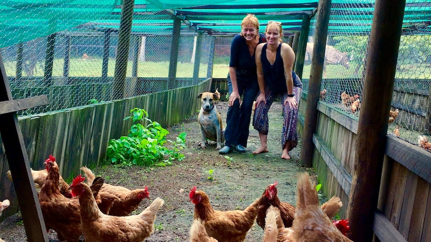 Julie O'Shea, her friend and a dog pose behind some rescued chickens.