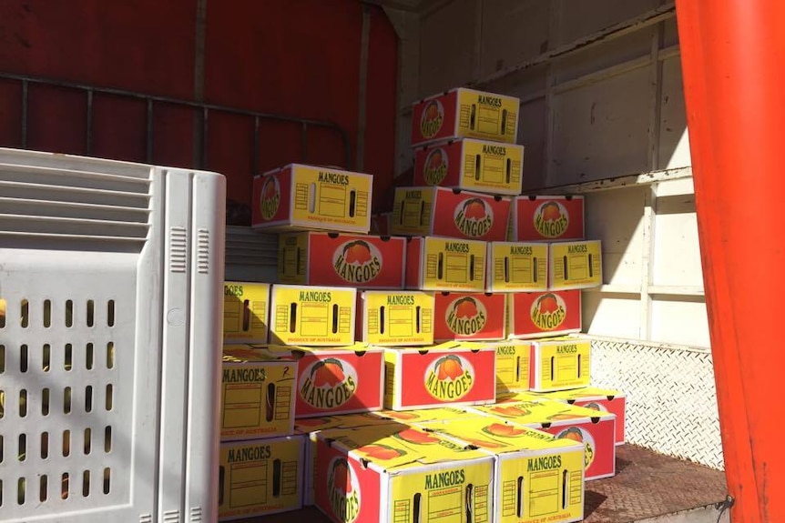 A truck load of Darwin mangoes ready to be sold in Alice Springs
