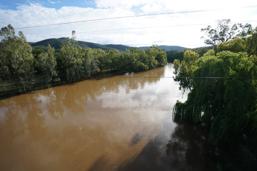A river with brown water and bushland along the banks.