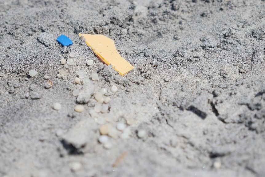 Small plastic fragments on a beach shoreline.