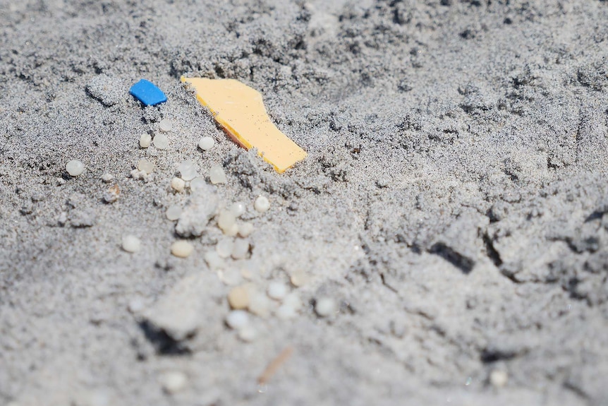 Small plastic fragments on a beach shoreline.