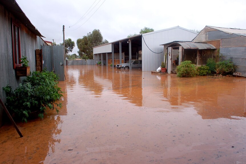 Floodwaters cover a property near Silverton in far west NSW.