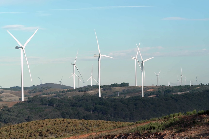 A number of wind turbines rise over low hills in farm land.