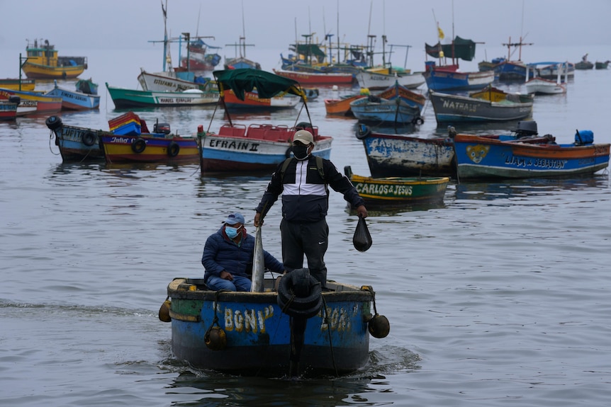 A fisherman standing on a boat holds a fish he caught in waters contaminated by an oil spill.