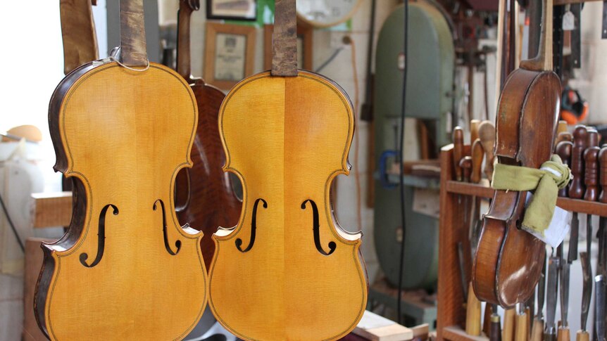 Two violins that do not yet have arms or strings are mounted on easels in a crowded workshop.