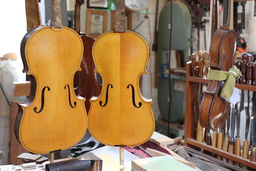 Two violins that do not yet have arms or strings are mounted on easels in a crowded workshop.