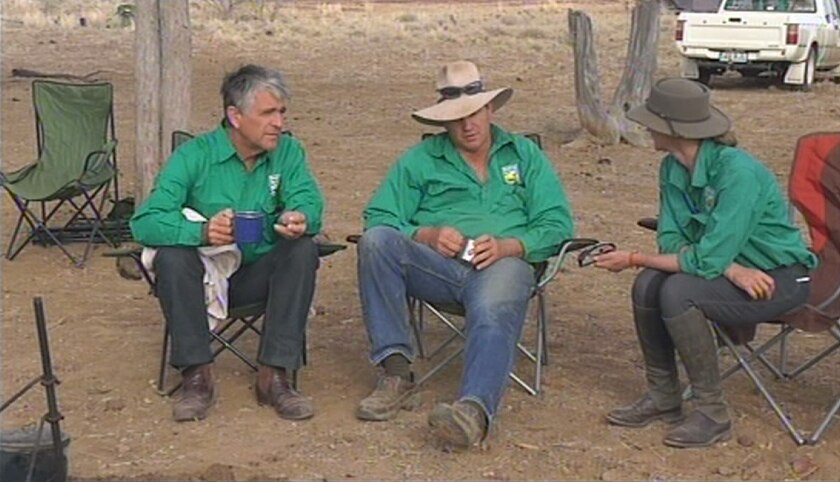 Charity cattle drive ropes 'online cows' in journey through western Qld ...