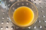 Top view of a glass of orange juice.