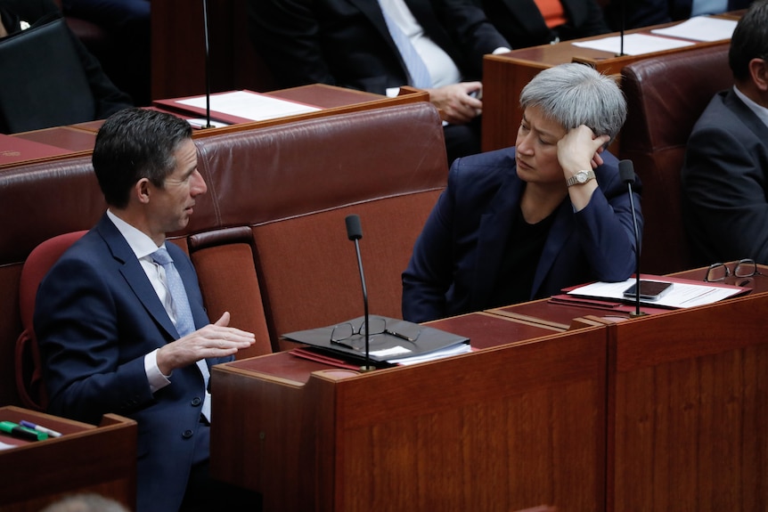 Penny Wong and Simon Birmingham speak while sitting next to each other in the Senate