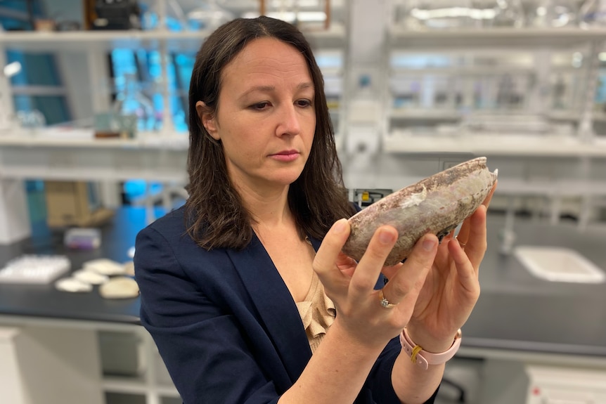 A woman in a dark blazer holding up a shellfish inside a laboratory