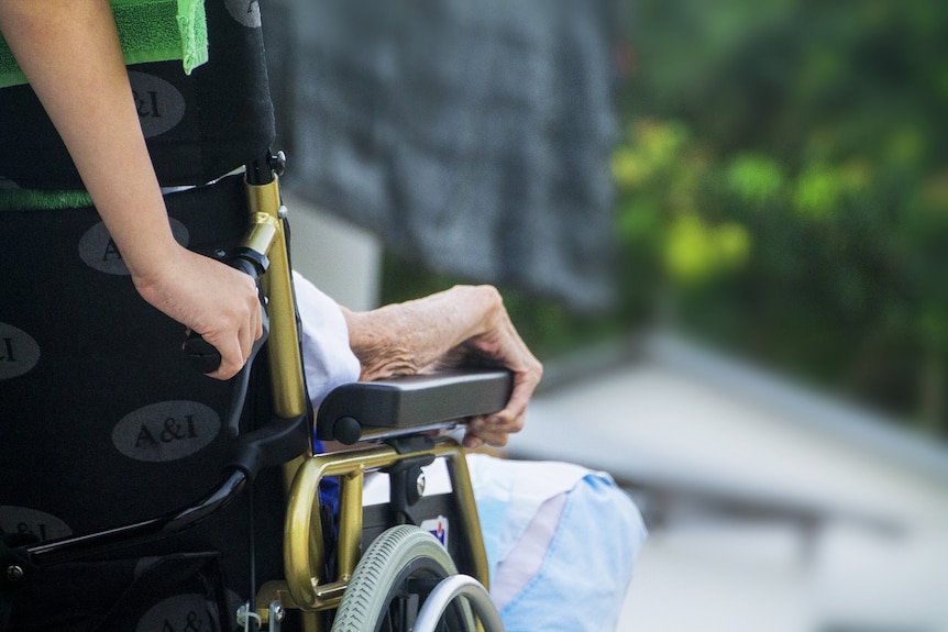 the arm of an elderly woman in a wheelchair pushed by a carer