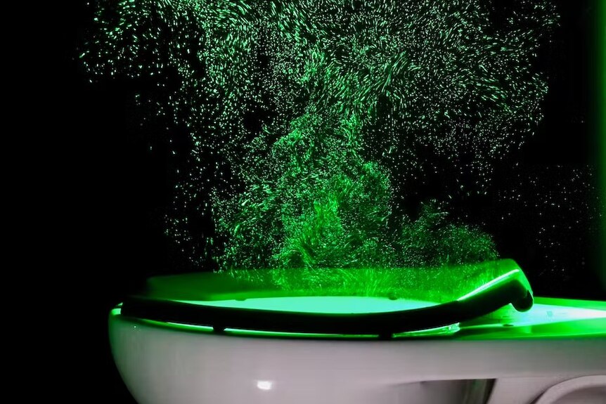 The Glow Company on X: Glow in the Dark Toilet Seat