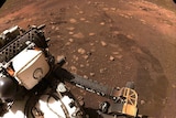 an image of NASA's Perseverance rover on Mars with track marks on red dirt