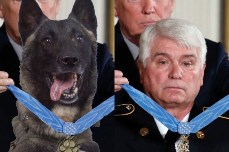 Composite of military dog and war hero receiving a Medal of Honour from Donald Trump.