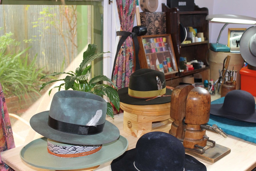A group of 4 hats are spread over a desk in front of a window, an antique hat stretcher sits beside them.
