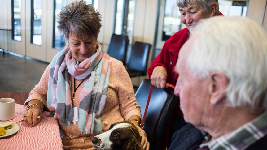 Cafe patrons pat a dog