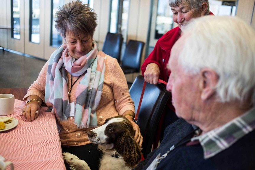 Cafe patrons pat a dog