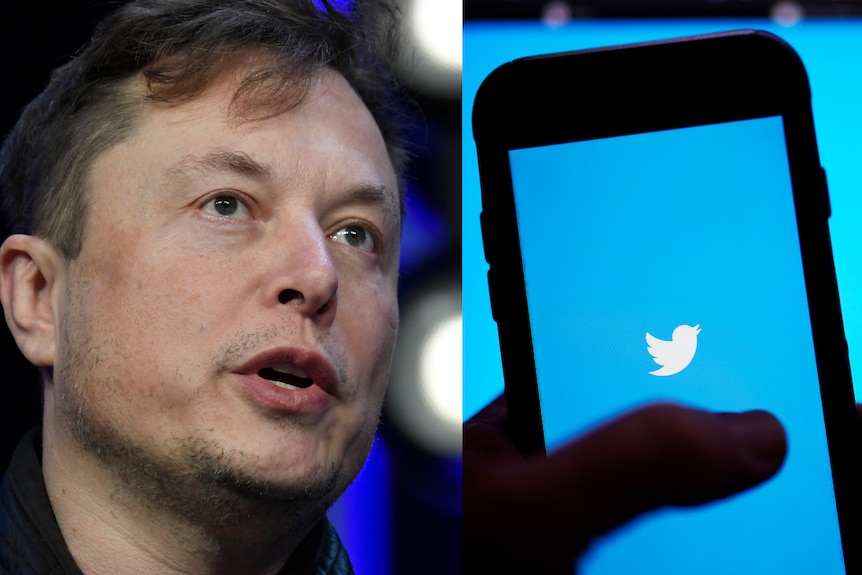 Musk v Twitter Thumbnail