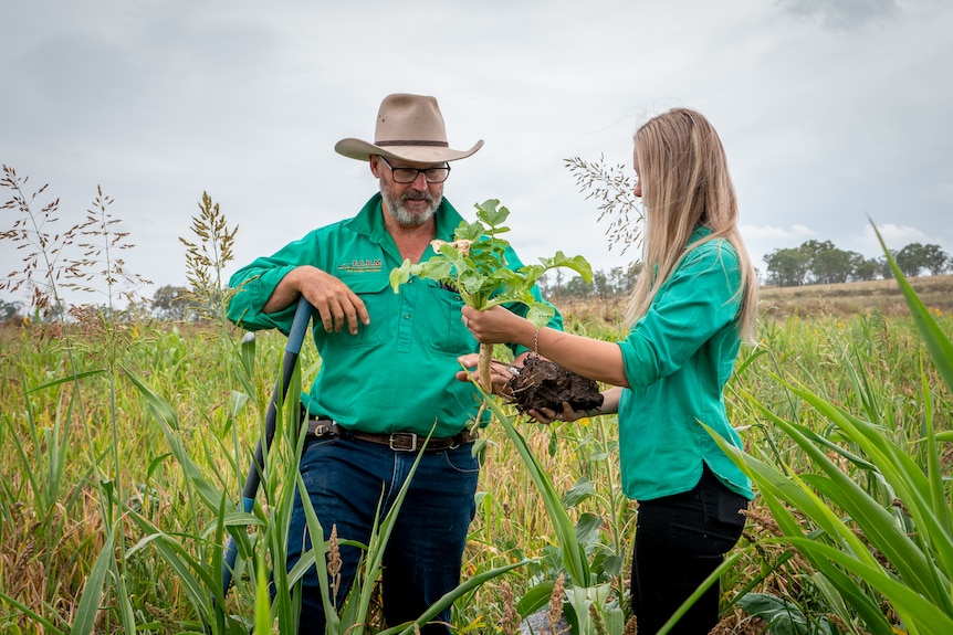 Agronomists Ian Moss and Jess Bailey examine some plants and soil growing in a paddock near Toowoomba, February 2022