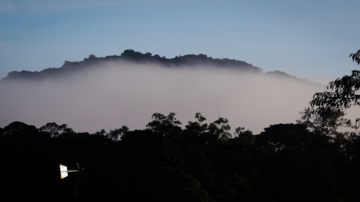 It Ll Haunt You Forever Traditional Owners Warn Climbers Of Perils Entering Fnq S Bermuda Triangle Abc News